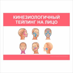 Плакат “Кинезиологичный тейпинг на лицо”