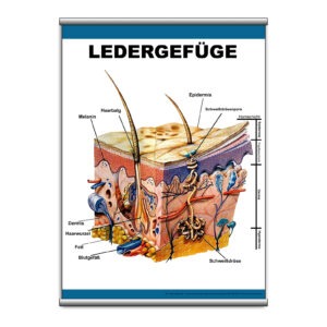 Плакат "Ledergefuge" з планкою