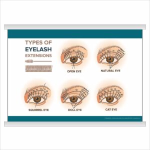 Плакат “Types of eyelash extensions” з планкою