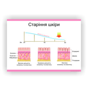 Плакат “Старіння шкіри” в медичний кабінет