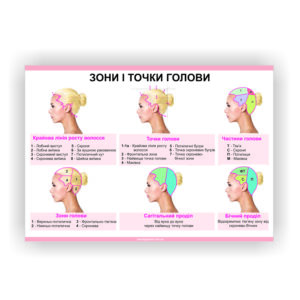 Плакат “Зони і точки голови”