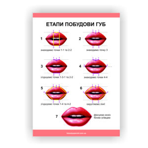 Плакат “Етапи побудови губ”