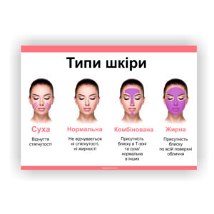 Плакат “Типи шкіри”