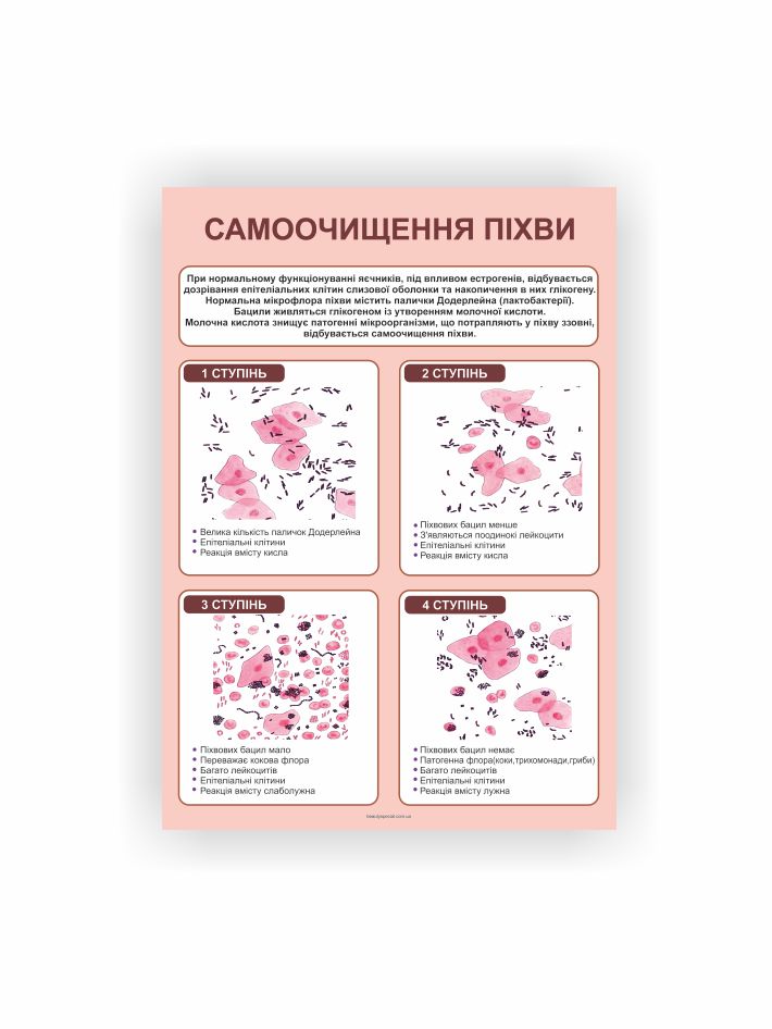 Плакат “Самоочищення піхви”